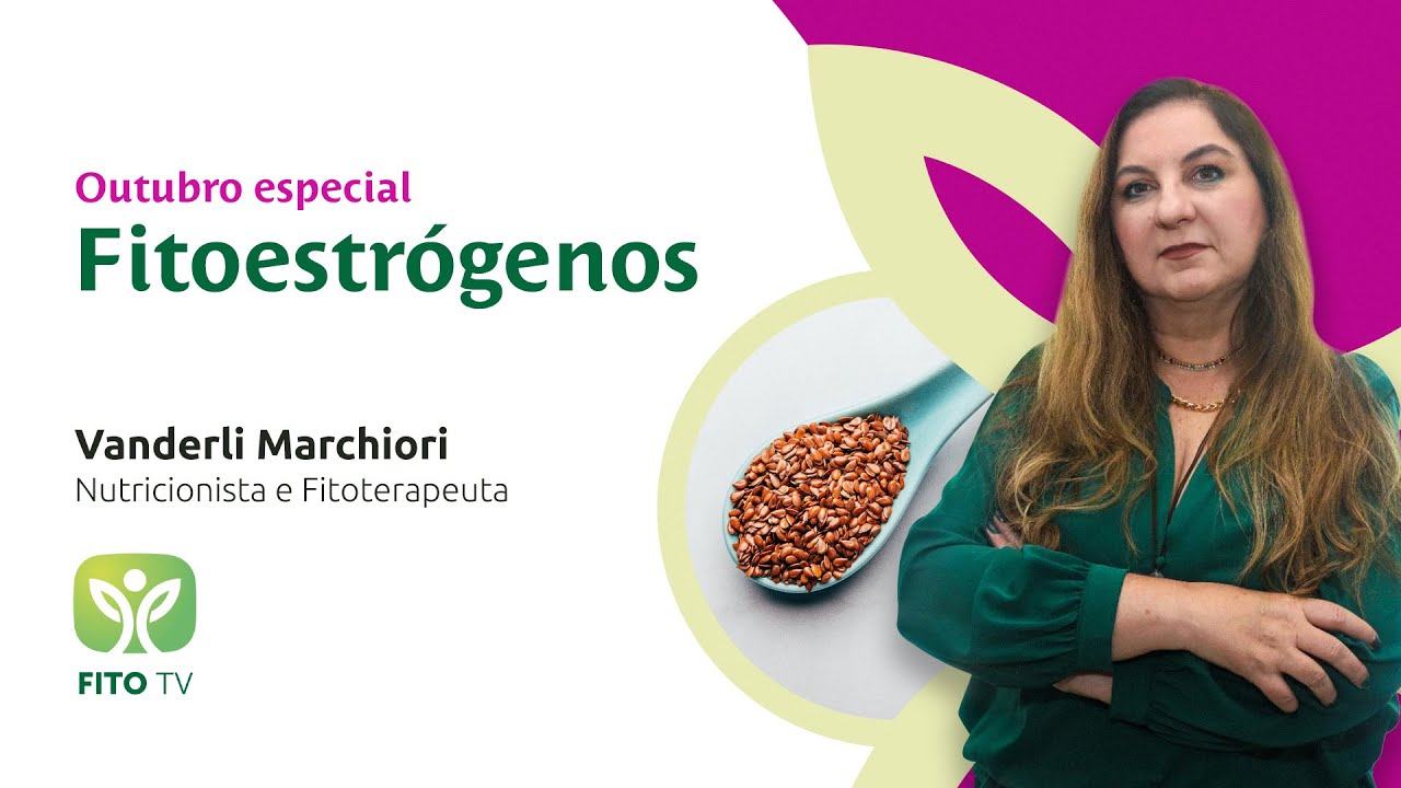 O que s&atilde;o fitoestr&oacute;genos?