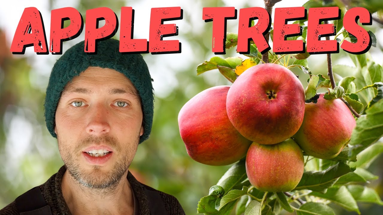 Starting an Orchard on the Homestead