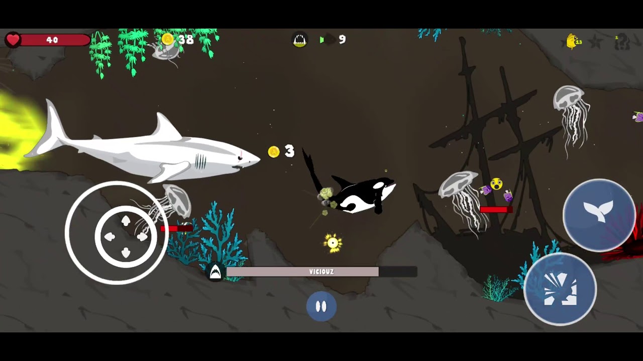 Killer Whale vs Great White Shark