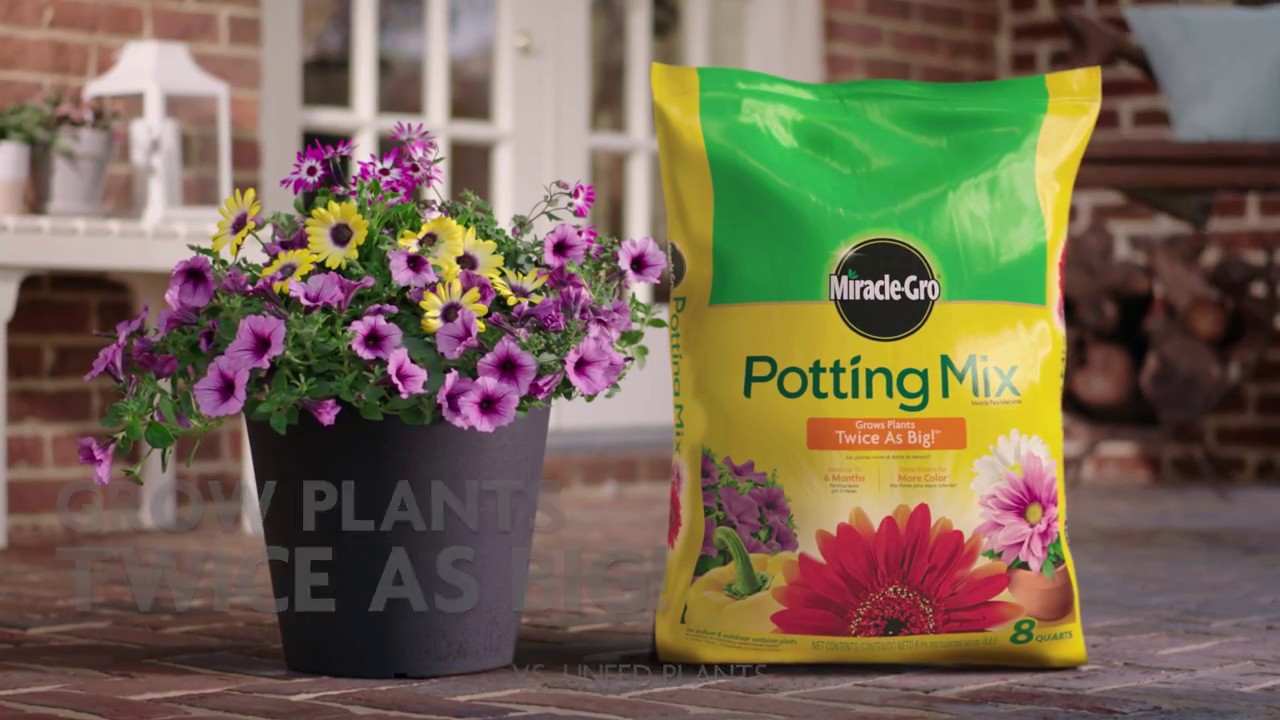 How to Use Miracle-Gro&reg; Potting Mix for Container Gardening