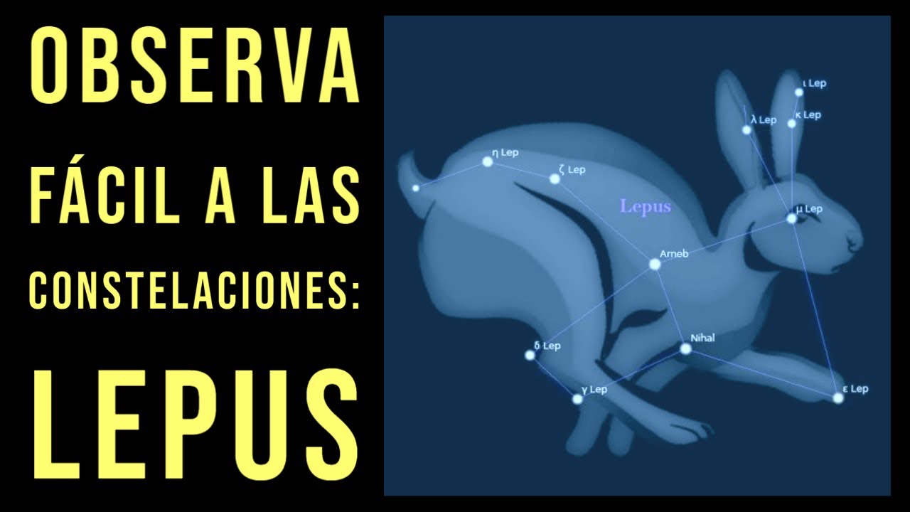 Observa f&aacute;cil a las constelaciones (3): Lepus, la liebre 🐇✨✨🐇