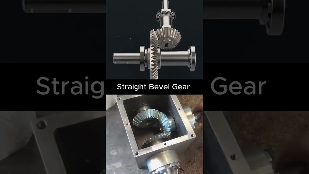 Straight Bevel Gear Mechanism #mechanism #engineering #conveyor #mechanical #cad  #solidworks