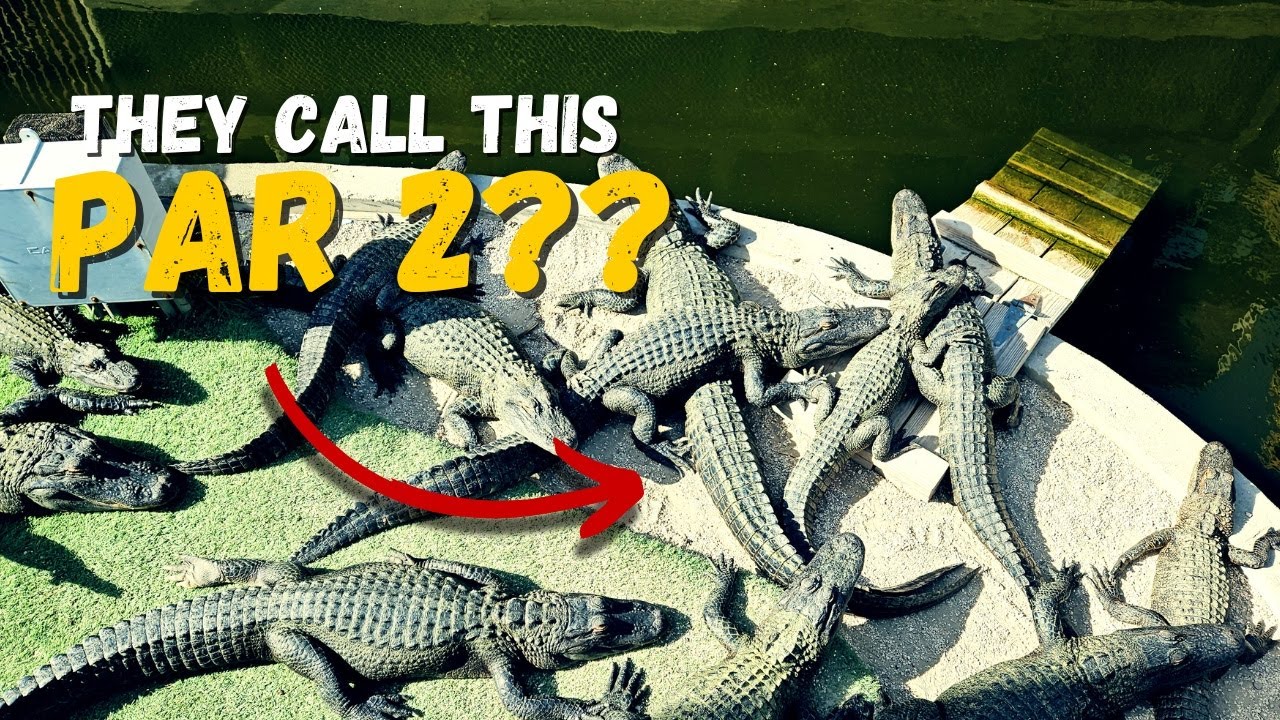 Gator Golf Orlando FL | June 1 2024 