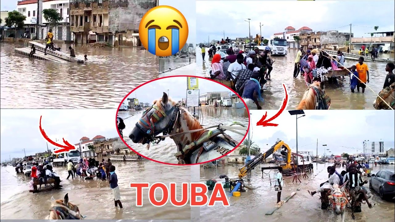 Incroyable 😭 Inondations à Touba Cornus Sëgne cheikh charette yi danio...