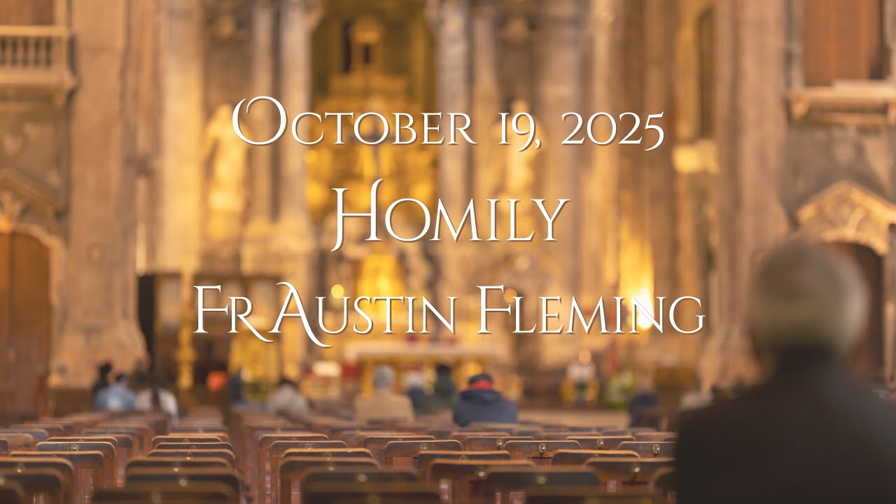 FR AUSTIN FLEMING HOMILY - OCTOBER 19, 2025
