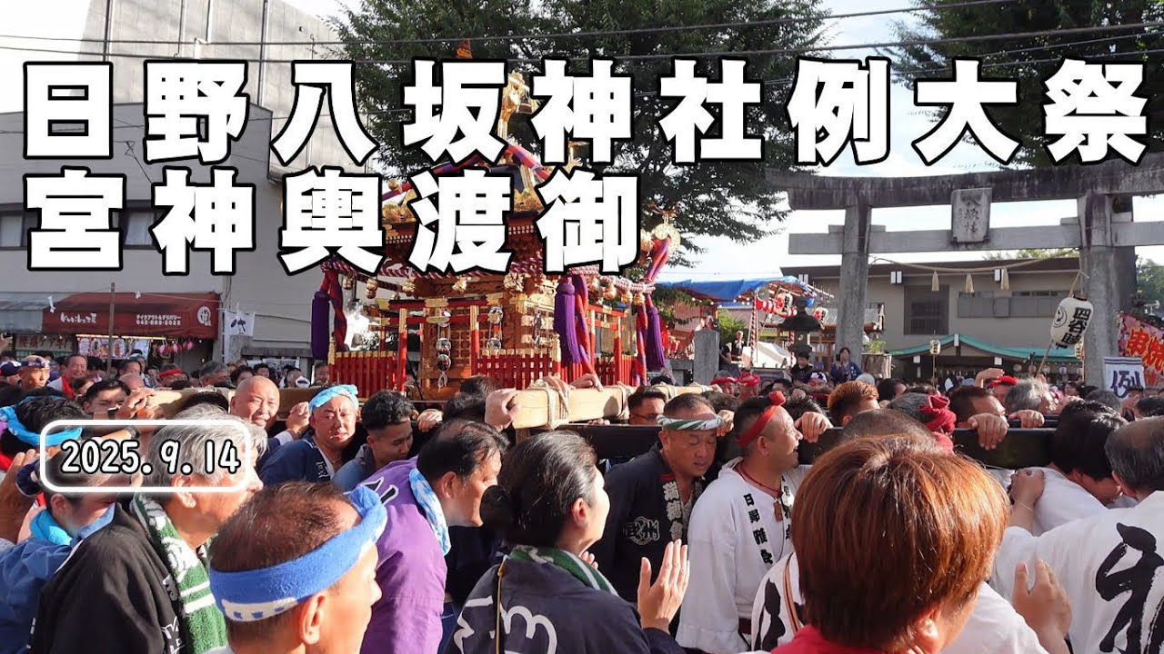 日野八坂神社 例大祭 宮神輿渡御  202509141540
