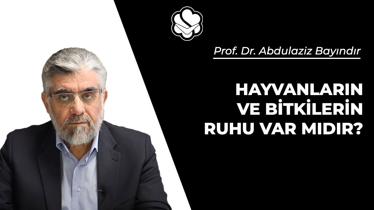 Hayvanların ve bitkilerin ruhu var mıdır? | Prof. Dr. Abdulaziz BAYINDIR
