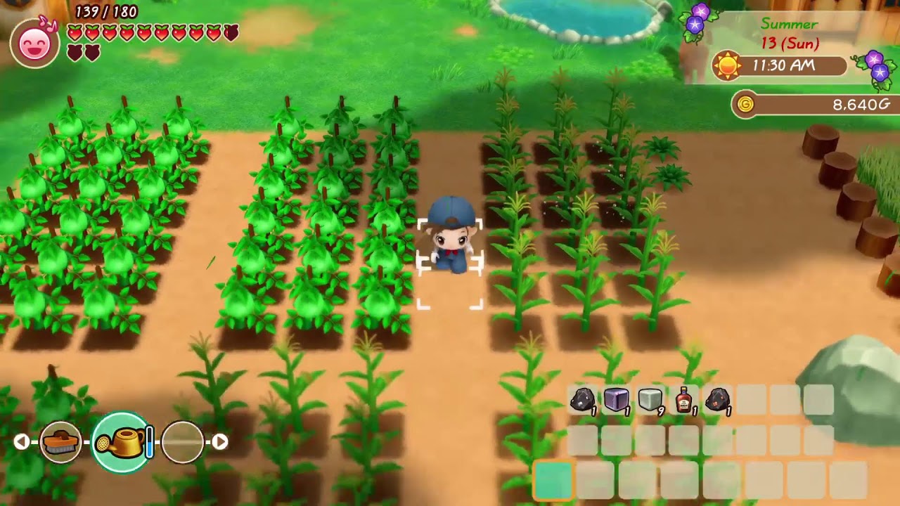 Story of Seasons - Friends of Mineral town - PT3 Summer