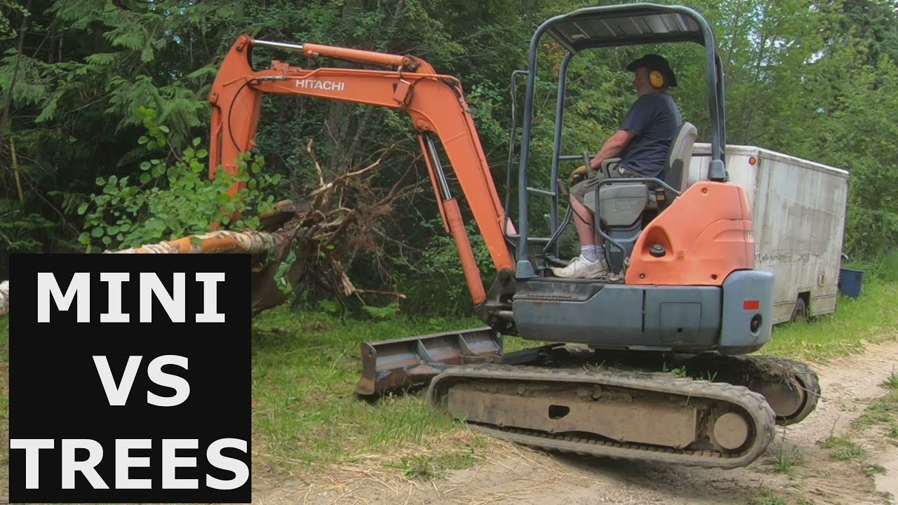 Hitachi Mini Excavator vs Birch Trees.