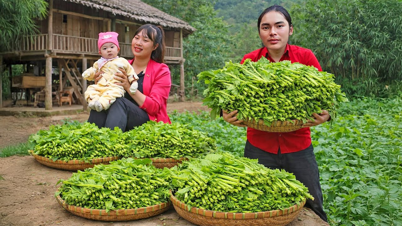 Harvesting Fresh Vegetables from the Hill and Bringing Them Home to Dry | SURVIVAL ALONE