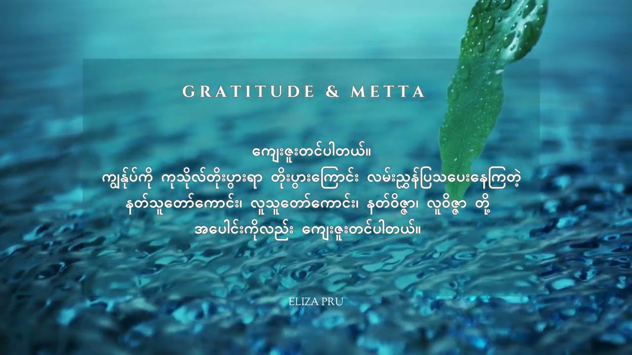 Gratitude & Metta