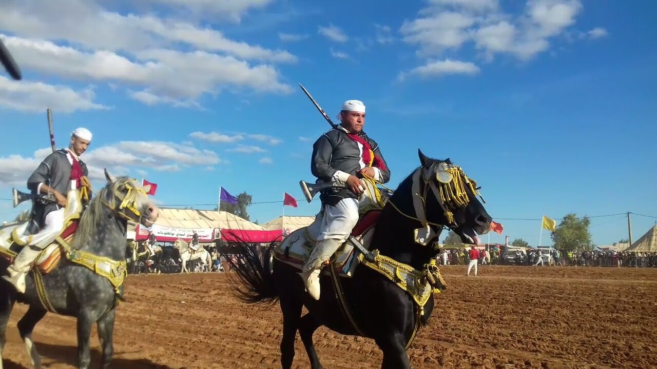 PERTUNJUKKAN KUDA : TABOURIDA - FANTASIA MAROKO 🇲🇦