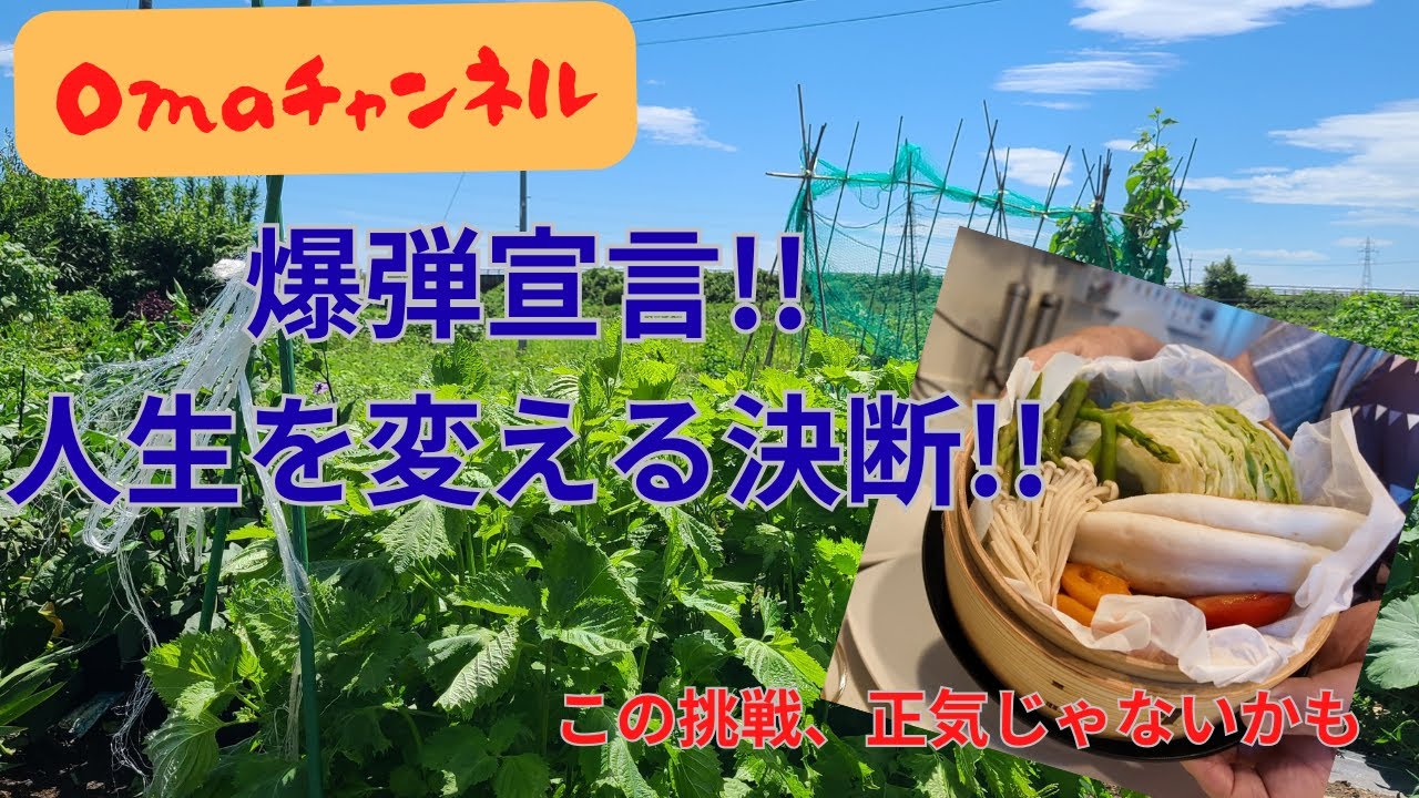 ずっと心に秘めていたことを言葉にします。驚かれるかも知れないけど、これが私の新しい一歩です(^^♪朝食と大葉の成長