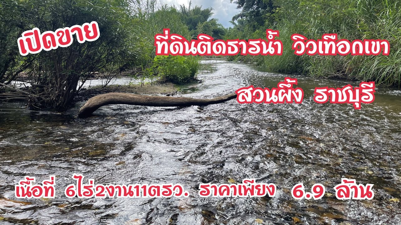 ด่วน! ขายที่ดินติดธารน้ำ วิวเขาสวยๆที่สวนผึ้ง ราชบุรี