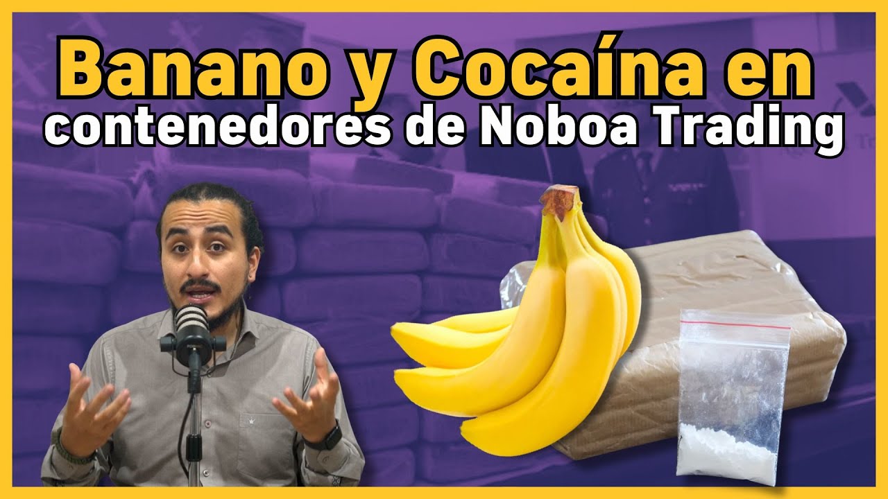 Noboa Trading y sus contenedores con polvo blanco | &iquest;Qui&eacute;nes controlan el narcotr&aacute;fico en Ecuador?