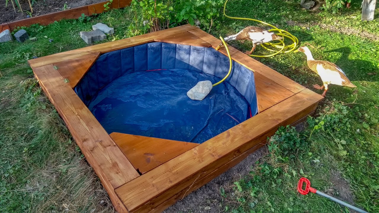 Enten oder Erpel? | Entenpool bauen | Laufenten Kunstbrut