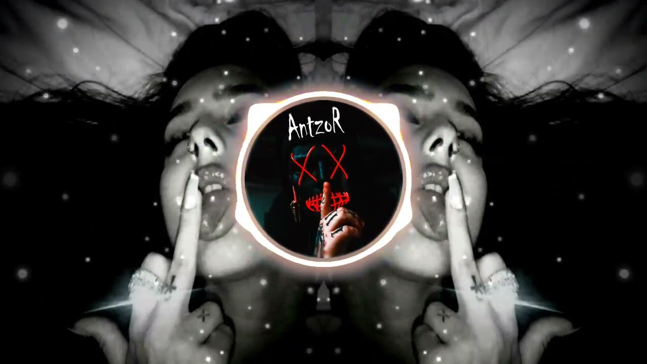 AntzoR - Reaction