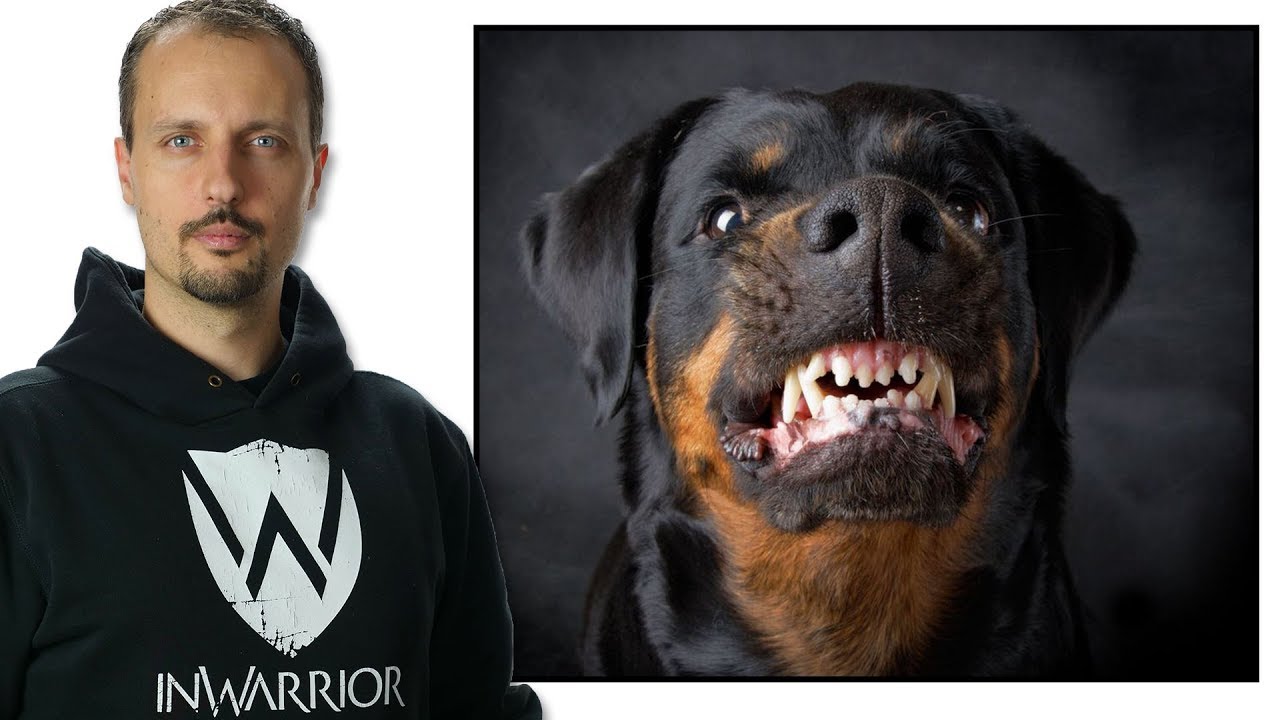 Come difendersi da un cane - Difesa Personale