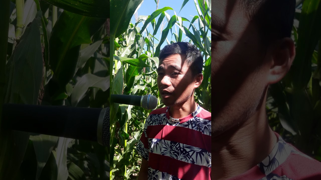 Danilo Cahulogan Show (The Myra Mae Story)