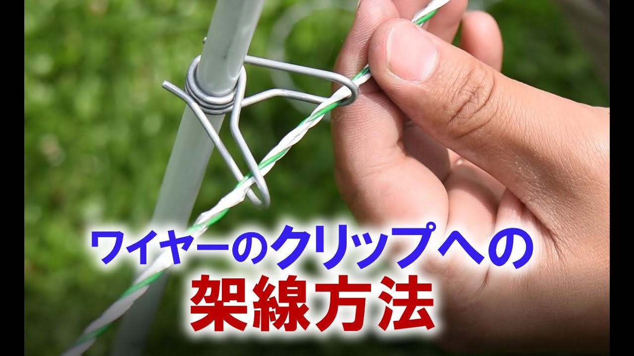 【電気柵施工】ワイヤーをクリップへ架線する方法