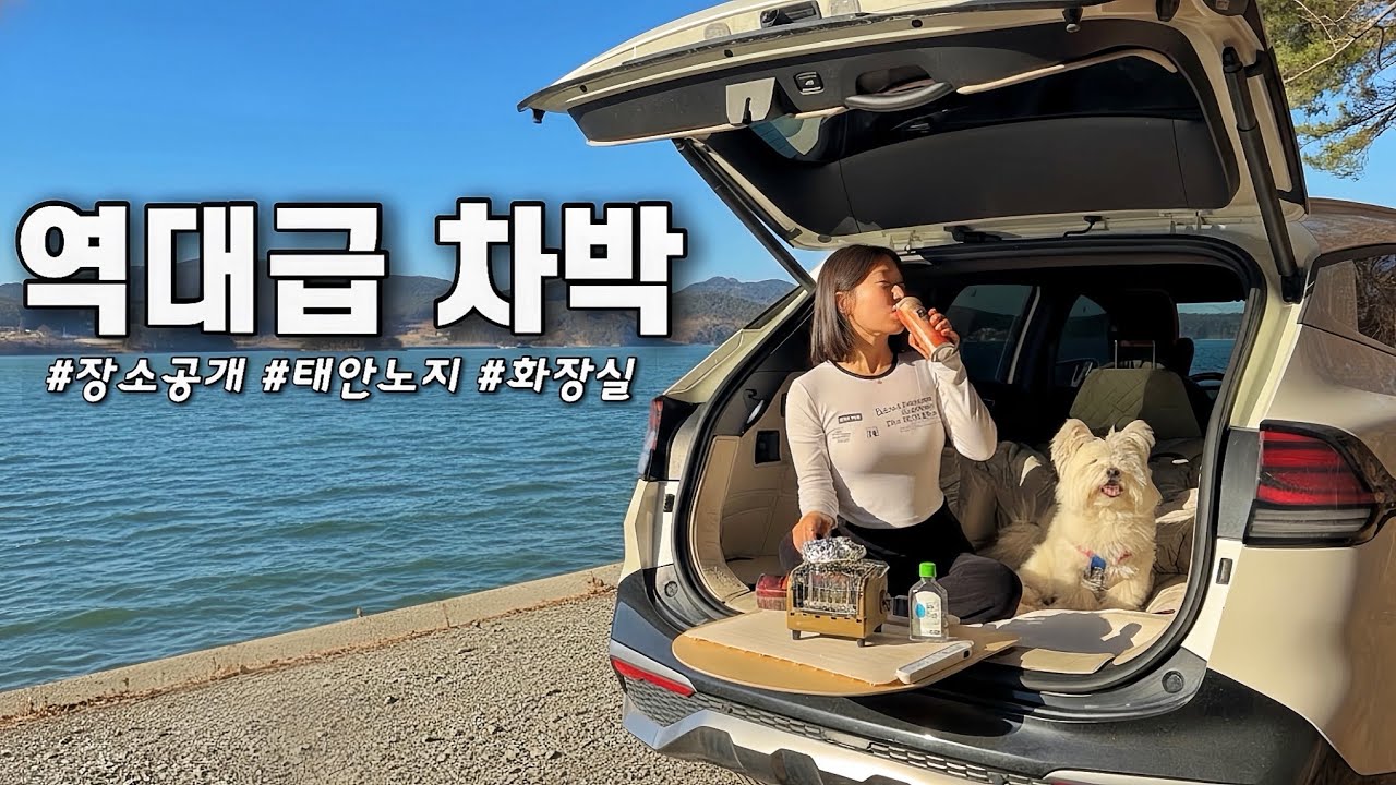 화장실 + 개수대까지 완벽한 역대급 노지 또 찾았어요!!! (feat. 자동차 방전😵) 스포티지 차박 / 솔로 차박 / 솔로 캠핑 / 태안 노지 추천
