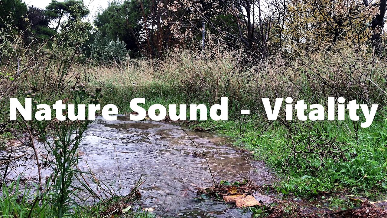 [ASMR]1 hour nature sound of vitality|white noise|deep sleep|meditation|focus|study|生命力的自然之聲|冥想|睡眠