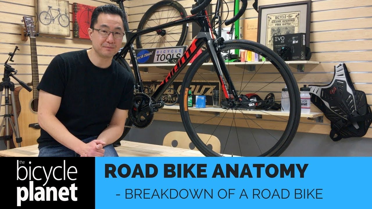 Road Bike Basics - Anatomy