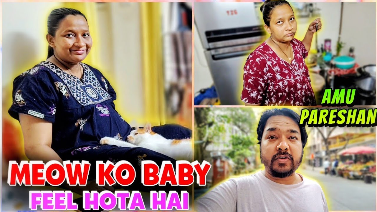 Meow Ko Baby Feel Hota Hai | Amu Pareshan Hai | Family Vlogs