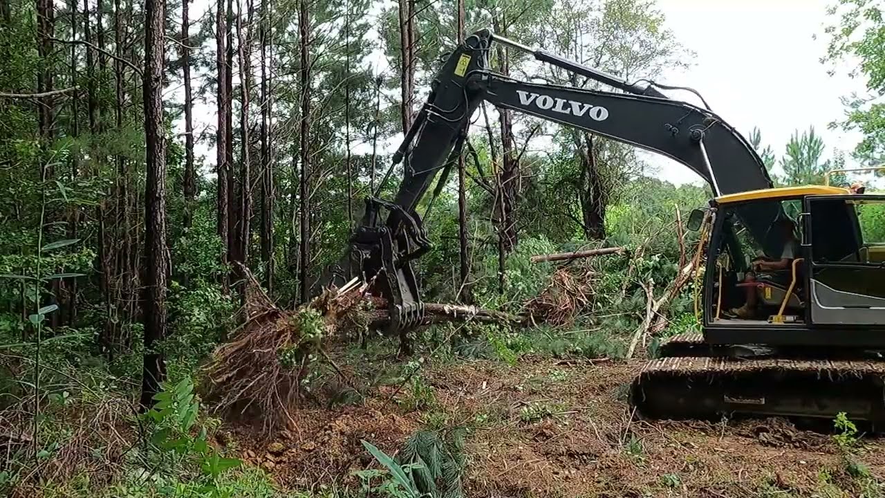 Failed From The Start 10 Year Old Pond Rebuilding