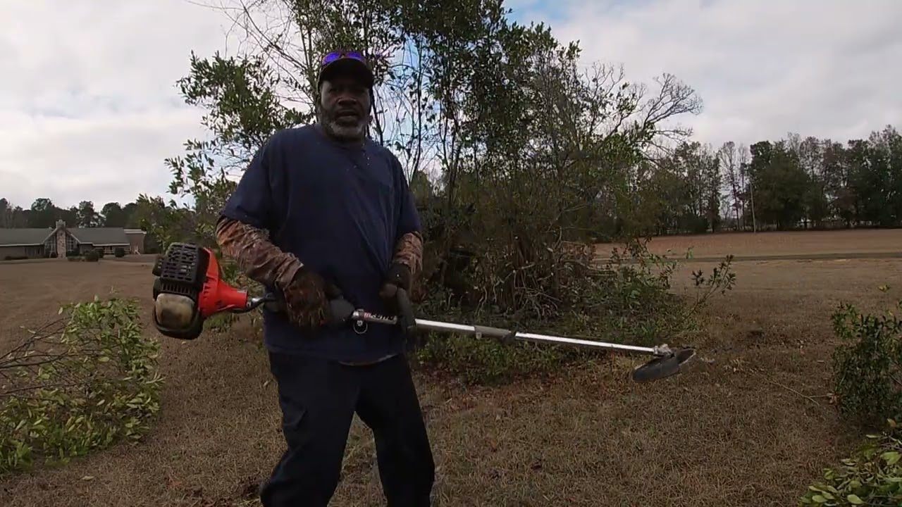 Brush Cutting and trees Cutting job 