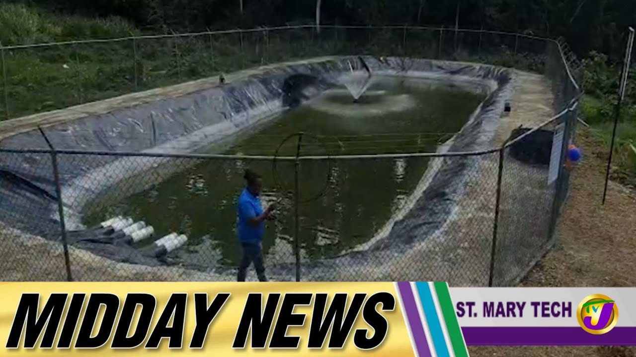 Renewable Energy Powers Farming at St Mary Tech | Midday News