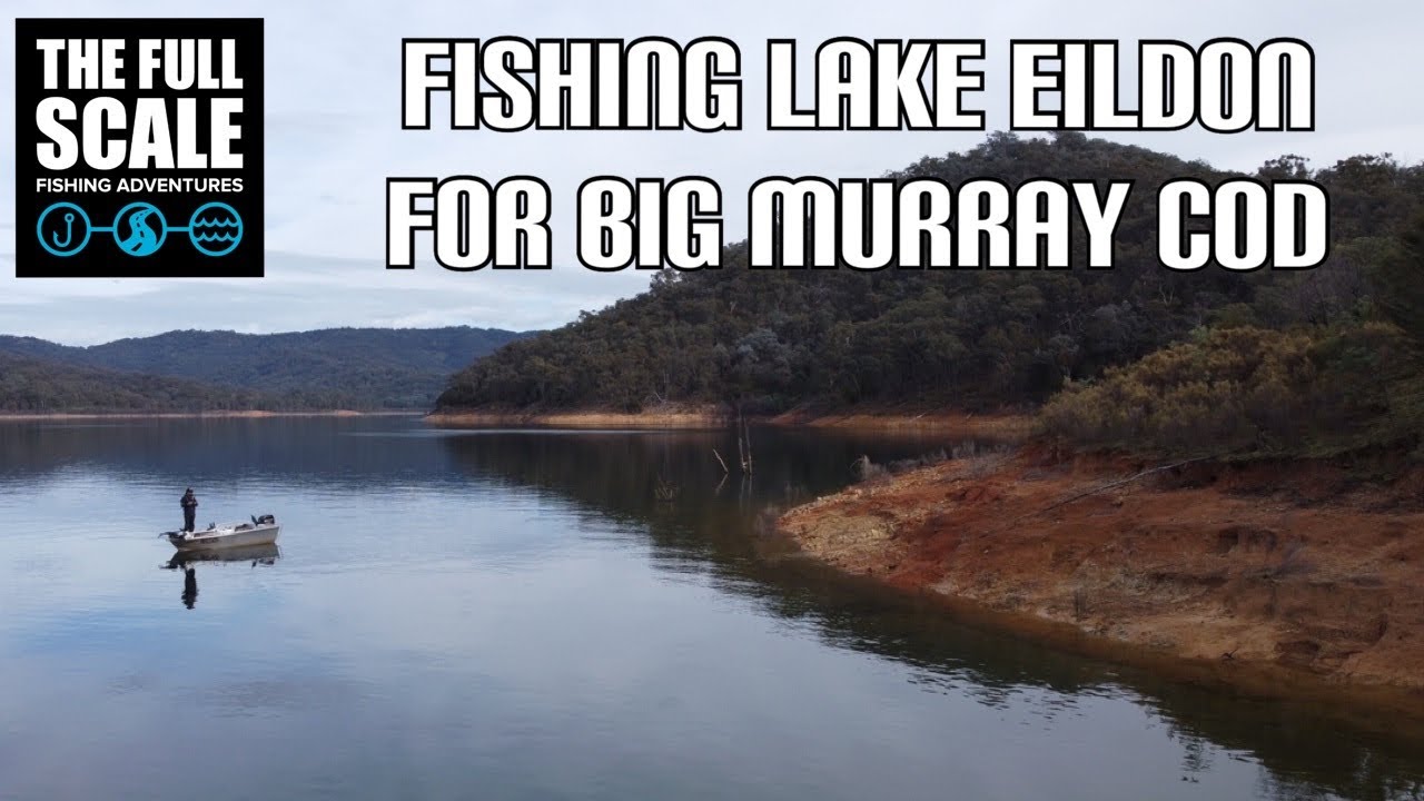 Fishing Lake Eildon For BIG Murray Cod | The Full Scale
