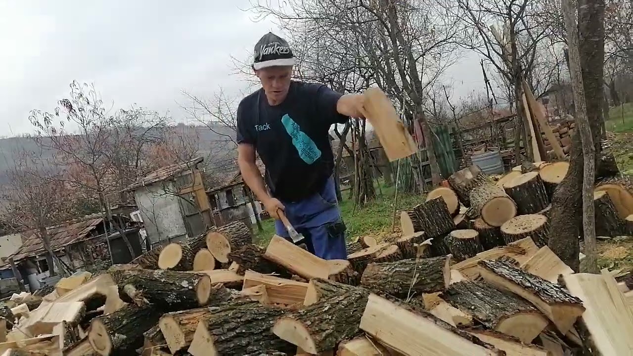 VIATA MUNCA LA TARA 2024