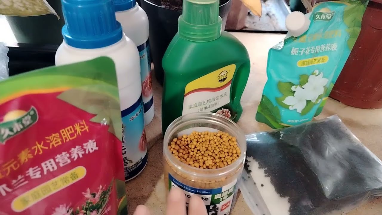 XONA GULLARINI GULLATISH USTIRISH UCHUN ENG ZUR OZIQALARI.