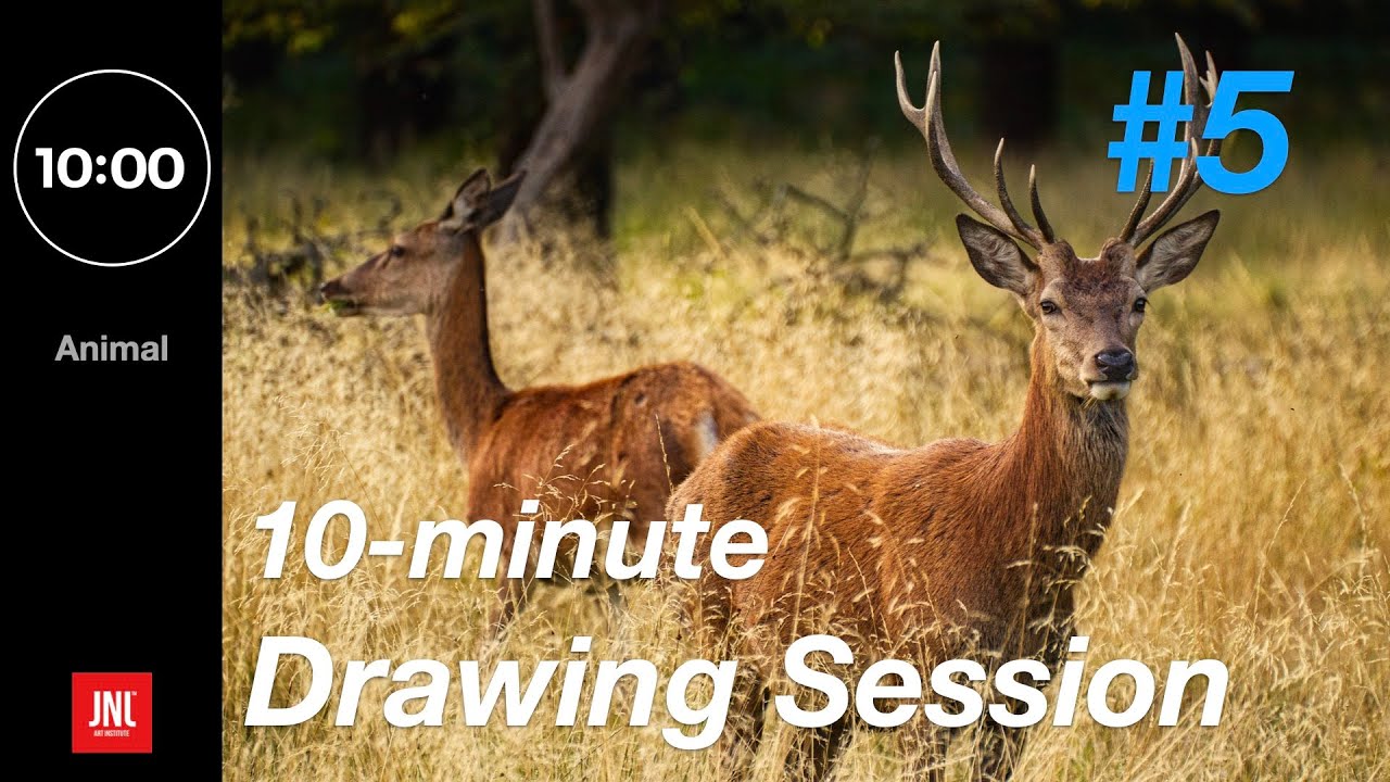 Drawing & Croquis session[ animal ]:10minute/ HD-Image! 동물 드로잉/크로키 연습 사진자료 croquis reference