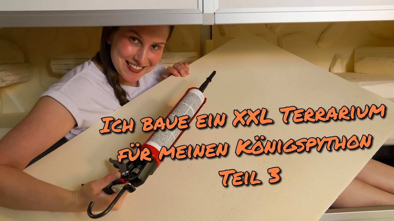 Я строю террариум XXL для своего королевского питона. Часть 3.