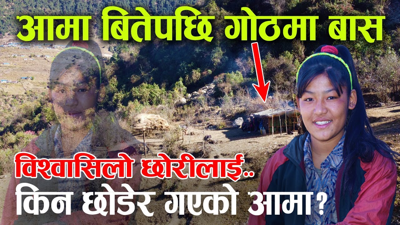 सानै उमेरमा गोठ धानेर बसेकी बहिनी, भन्छिन्– काम गर्दागर्दै रात परेको थाहै हुन्न ! │Nepal Chitra