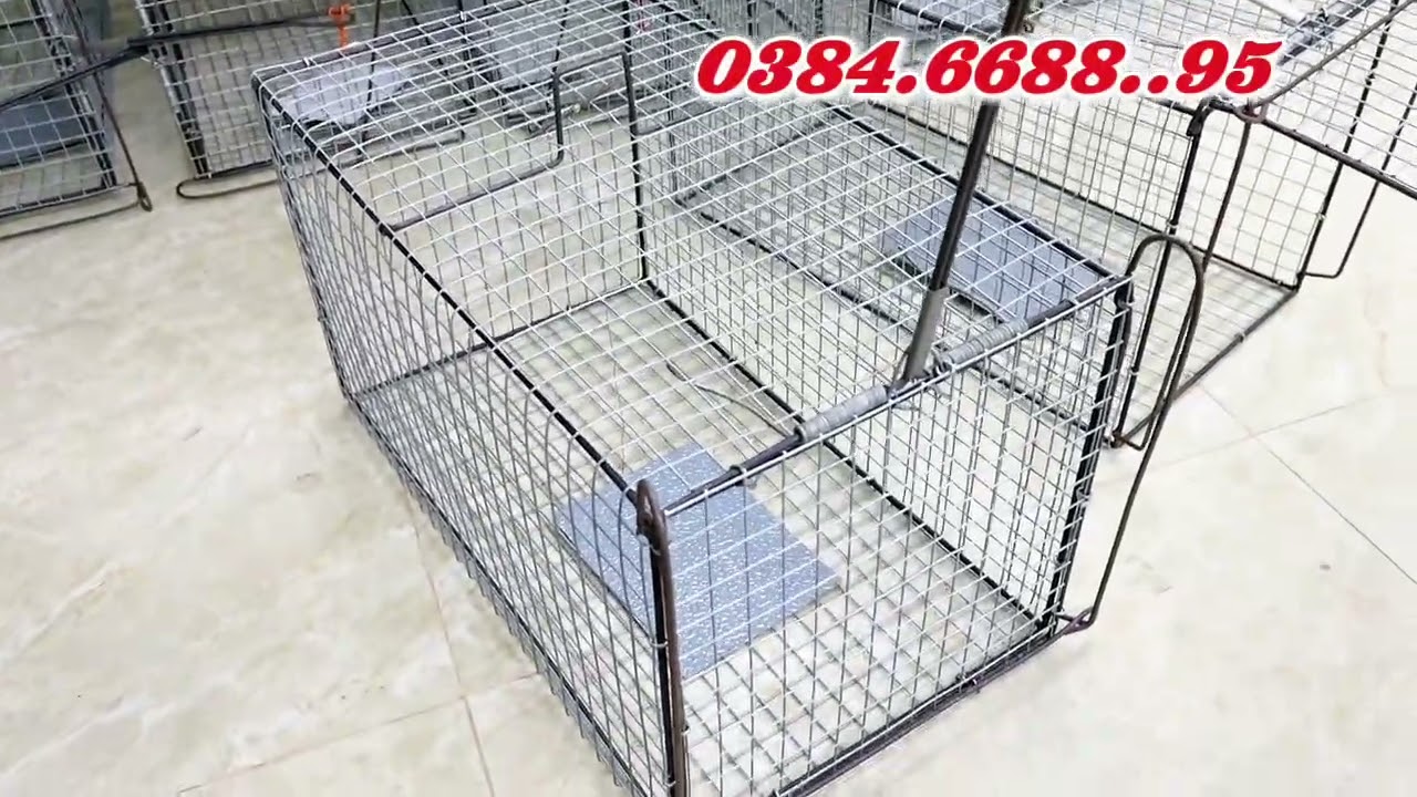 🆘🆘BẪY THÚ RỪNG QUÁ DỄ VỚI LỒNG BẪY THÔNG MINH- KÍCH THƯỚC LỚN ☎️☎️0384.6688..95