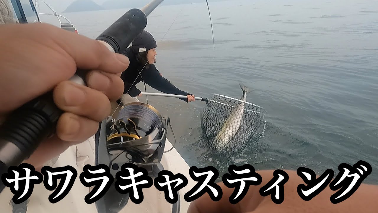 今季初のサワラが釣れました
