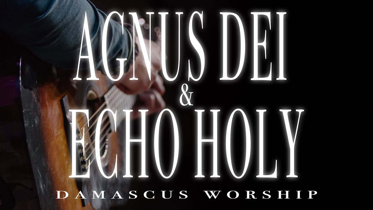 Agnus Dei & Echo Holy (Live)