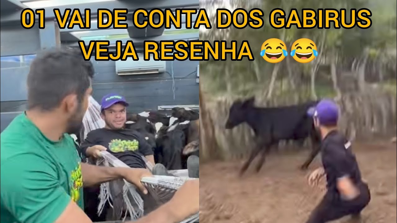 PEIXE DA LAMA NA ROTA DOS GABIRUS 01 FOI DE CONTA VEJA RESENHA😂😂😂