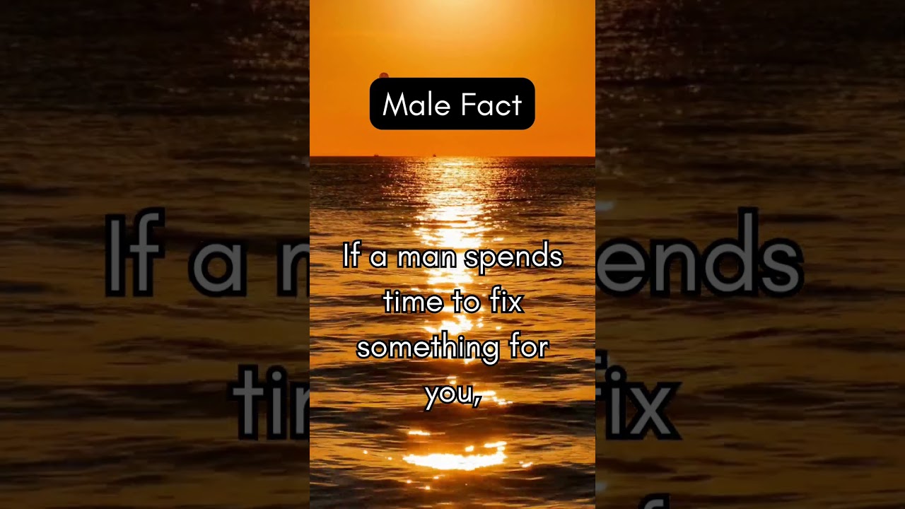 Handyman | MALE PSYCHOLOGY | LOVE | #masculinity #shorts #love