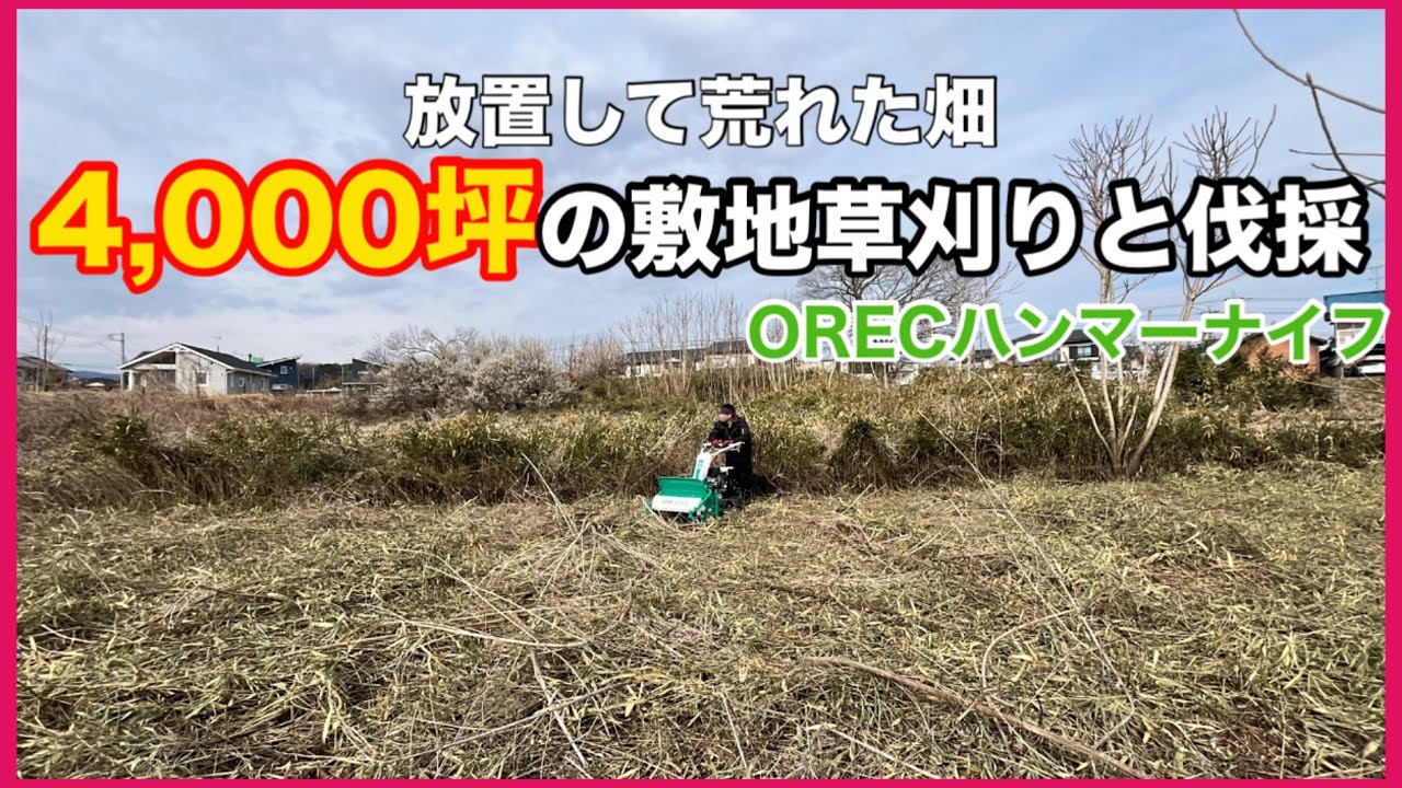 【仕事】放置して荒れた4000坪の畑を救う！蔓、笹、木の草刈り伐採荒れた畑の開拓　OREC ハンマーナイフモア大活躍