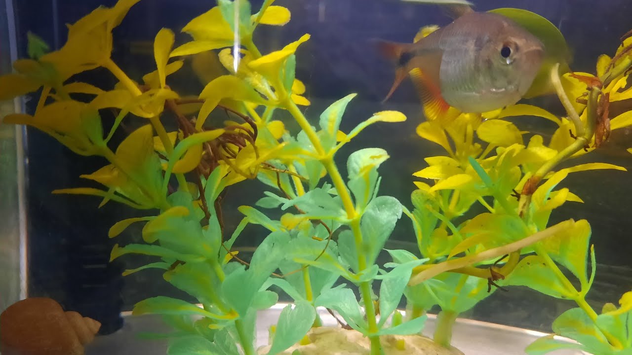 Aquarium Enjoy the little things!