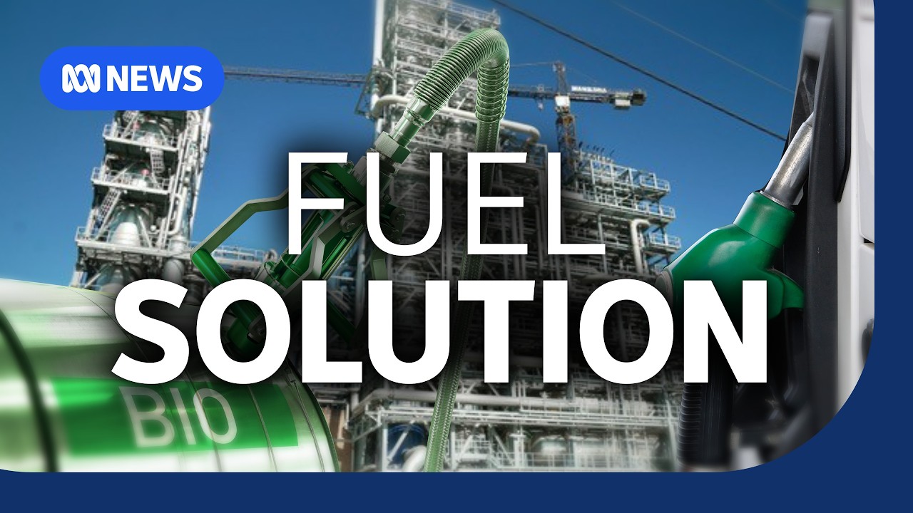 Could this be the future of fuel? | The Business | ABC NEWS