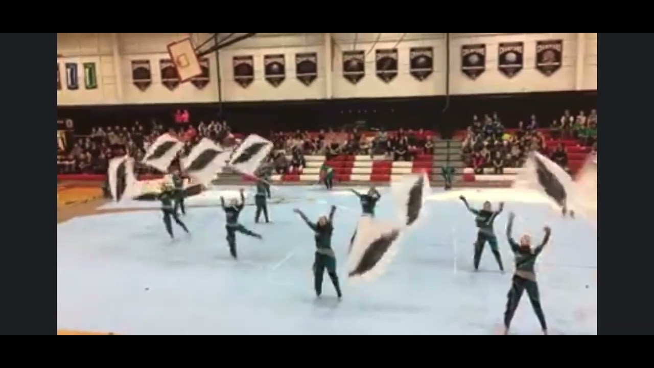 Totally not the Linganore High School indoor color guard 1st flight show