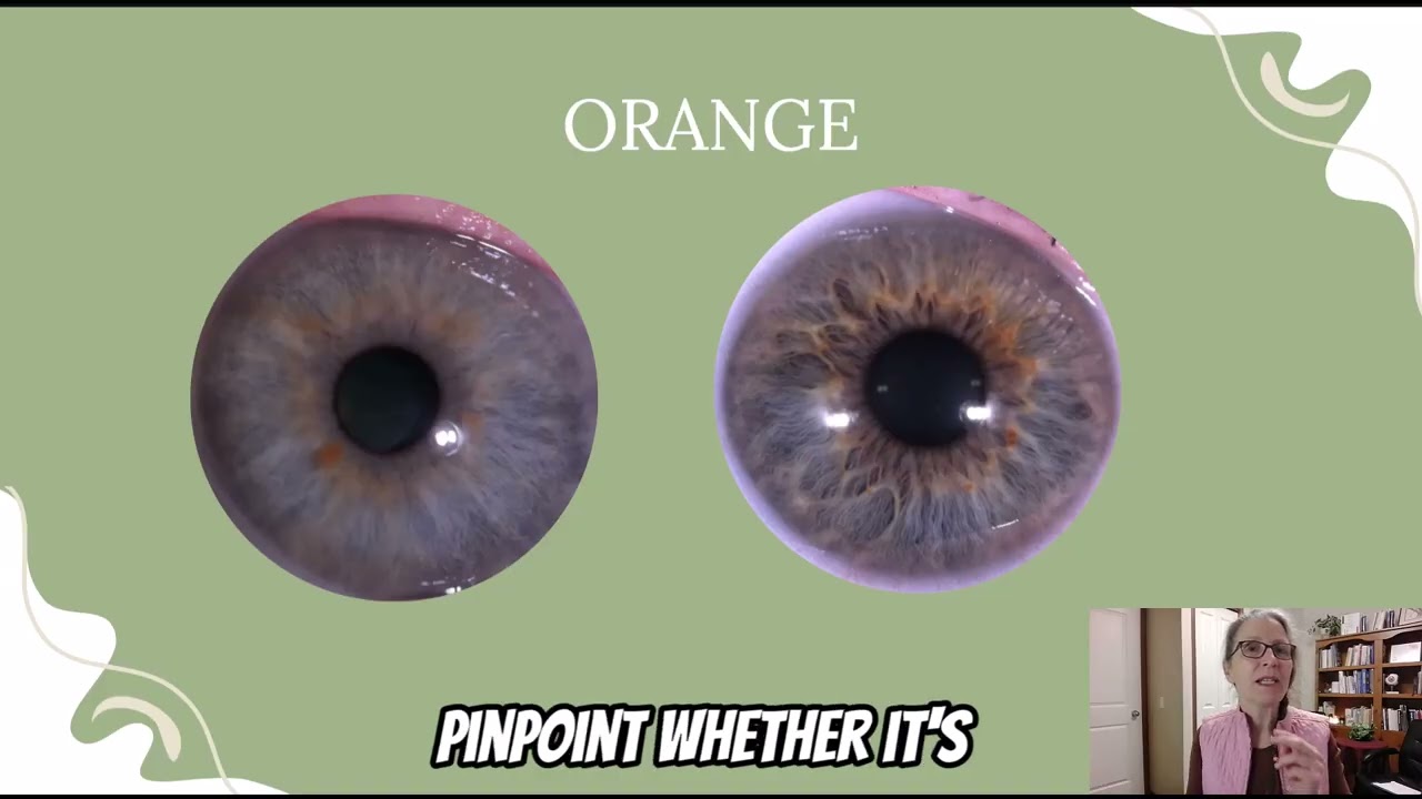 Intro to Pigments [consitutional iridology]
