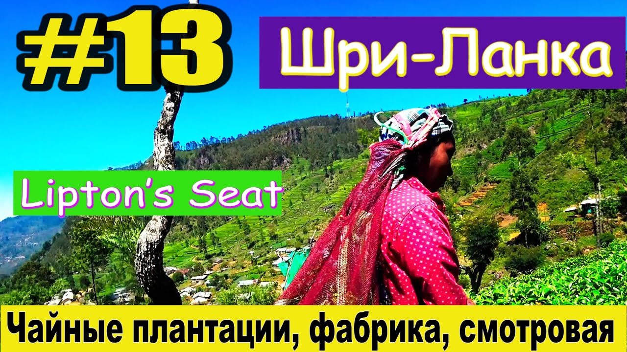 Шри-Ланка. #13. Элла. Чайные плантации/Фабрика Липтон/Смотровая