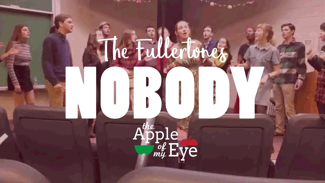NOBODY - MITSKI (a Cappella Cover by The Fullertones)