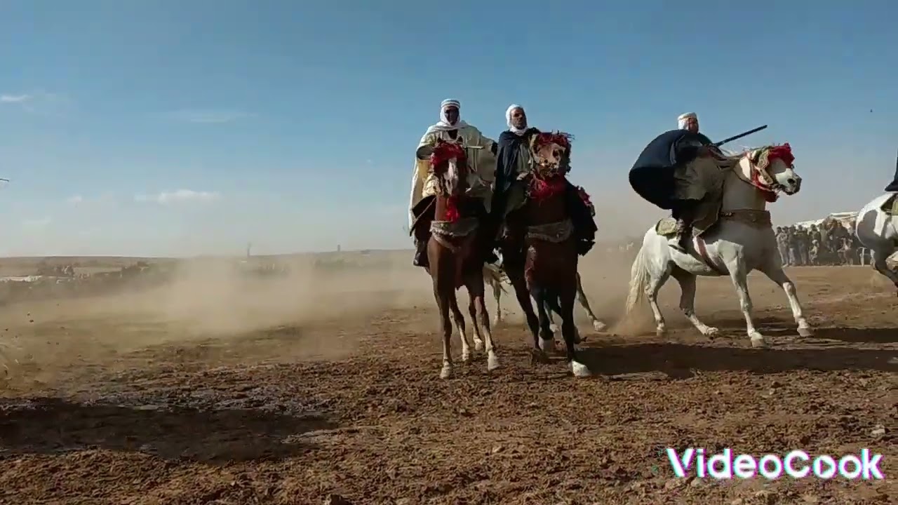 علفة اولاد سيدي  امحمد بن يعقوب ( من وعدة سيدي ساعد 2022)